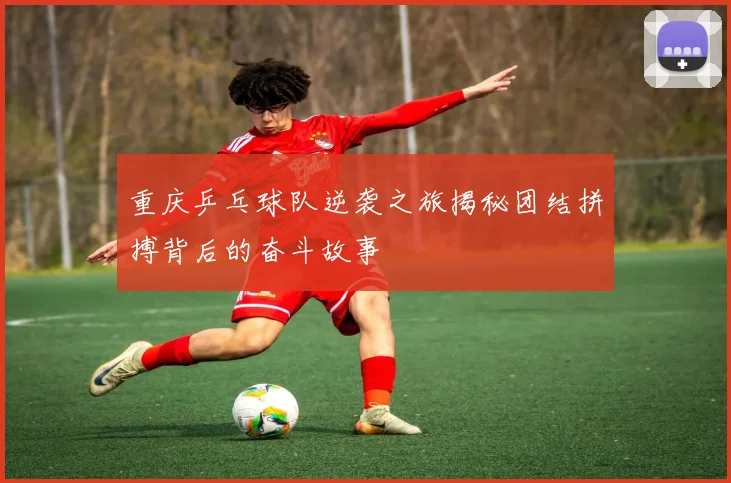 重庆乒乓球队逆袭之旅揭秘团结拼搏背后的奋斗故事